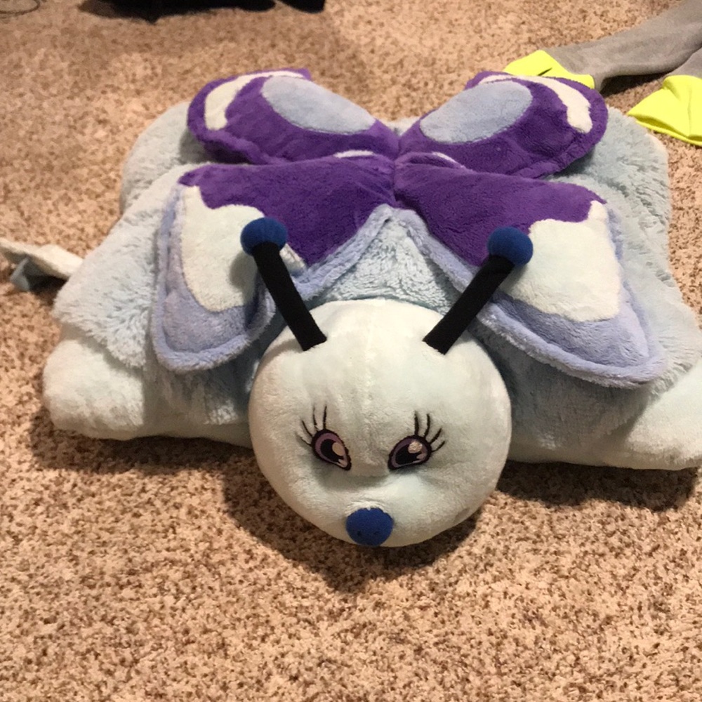 Pillow pet